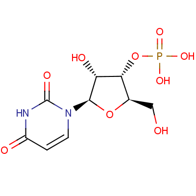 > 尿苷3"-(磷酸二氢钾)