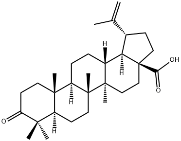 白桦脂酮酸