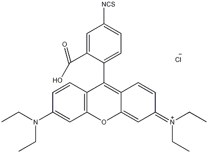 > 异硫氰酸盐罗丹明b