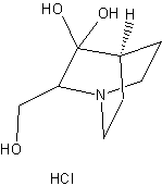 2-亚甲基-3-奎宁环酮盐酸盐二水合物