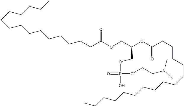 1,2-二棕榈酰-sn-甘油-3-二氧磷基-n,n-二甲基乙醇胺