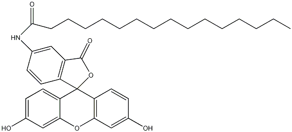 > 5-(n-十六烷酰)氨基荧光黄