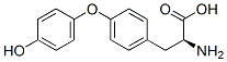 甲[狀]腺胺酸