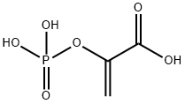 磷烯醇丙酮酸