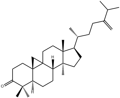 24-Methylenecycloartan-3-one