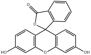 荧光素