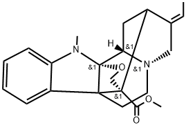 PSEUDOAKUAMMIGINE