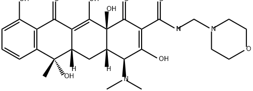 Morphocycline