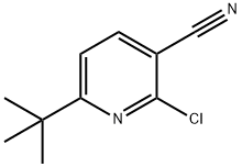 6-叔-丁基-2-氯吡啶-3-甲腈