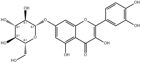 槲皮素-7-O-BETA-D-吡喃葡萄糖苷