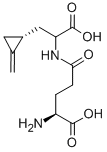 HYPOGLYCINB