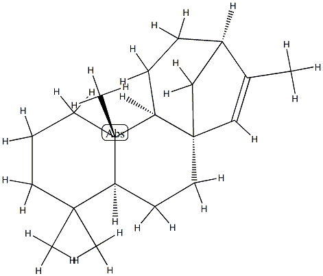 Isophyllocladene