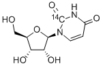 URIDINE-2-14C