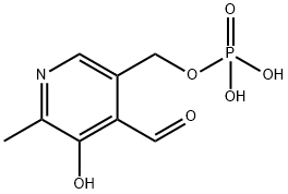 磷酸吡哆醛