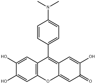 9-(4-dimethylaminophenyl)-2,6,7-trihydroxy-xanthen-3-one