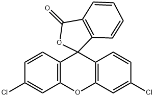 3',6'-二氯荧光素