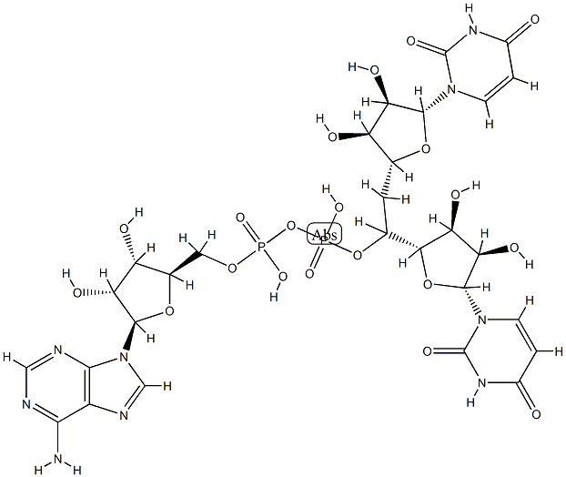 uridylyl-(3'-5')-adenylyl-(3'-5')uridine