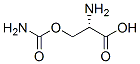 O-carbamylserine