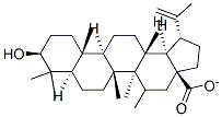 Methyldihydrobetulinate