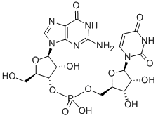 guanylyl-(3'-5')-uridine