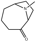 9-Azabicyclo[4.2.1]nonan-2-one,9-methyl-(9CI)