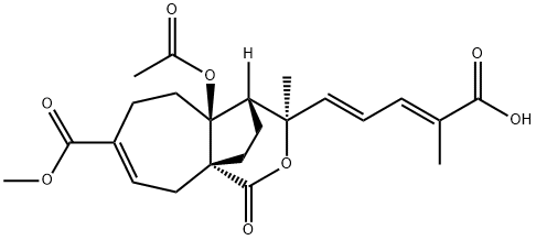 土荆皮乙酸