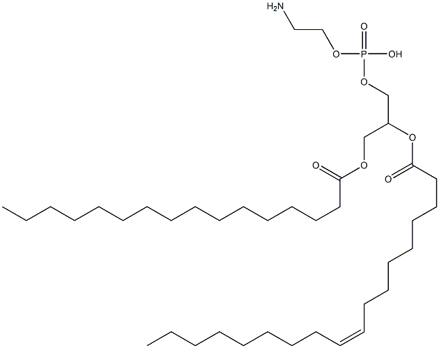 1-palmitoyl-2-oleoylphosphatidylethanolamine