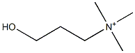 homocholine