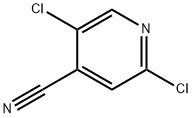 2,5-二氯异烟腈