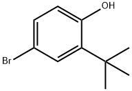 2-叔丁基-4-溴苯酚