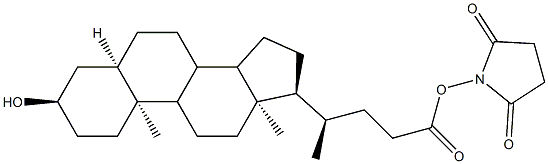 lithocholyl-N-hydroxysuccinimide