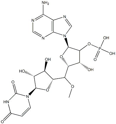 uridylyl-(2'-5')-adenosine