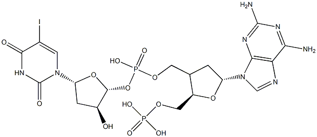 poly(2-aminodeoxyadenylate-5-iododeoxyuridylate)