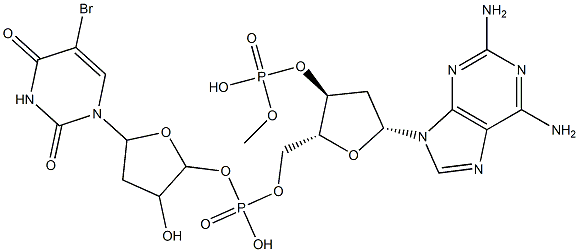 poly(2-aminodeoxyadenylate-5-bromodeoxyuridylate)