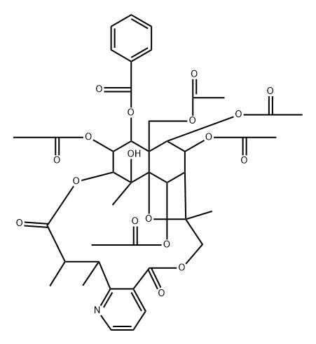 mayteine