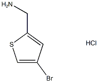 4-溴-2-氨甲基噻吩盐酸盐