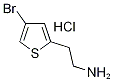 2-(4-溴-2-噻吩)-乙胺盐酸盐