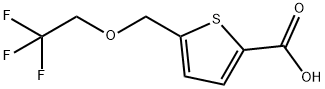 5-[(2,2,2-三氟乙氧基)甲基]噻吩-2-羧酸