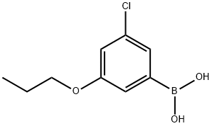 3-氯-5-丙氧基苯硼酸