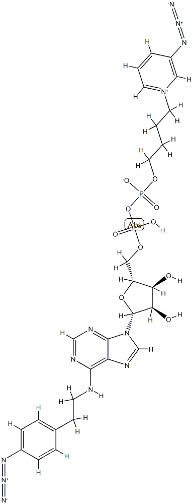 P(1)-N(6)-(4-azidophenylethyl)adenosine-P(2)-(4-(3-azidopyridinio)butyl)diphosphate