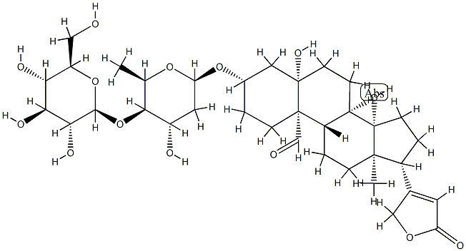 OLITORISIDE