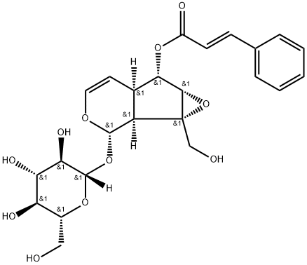 6-O-肉桂酰梓醇