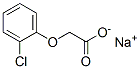 SODIUM-2-CHLOROPHENOXYACETATE