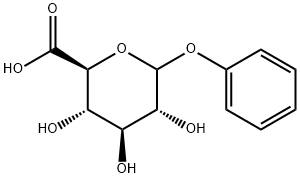 phenylglucuronide