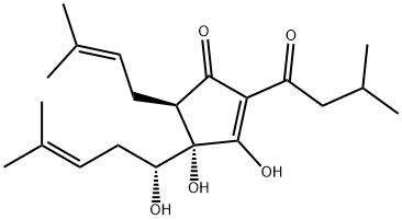 RHO-ISOHUMULONEA2