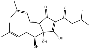 RHO-ISOHUMULONEB1