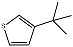 3-TERT-BUTYLTHIOPHENE