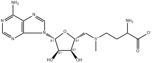 S-腺甘基蛋氨酸