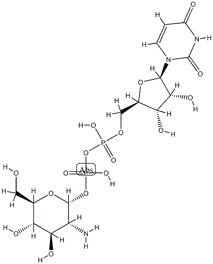 UDP-glucosamine