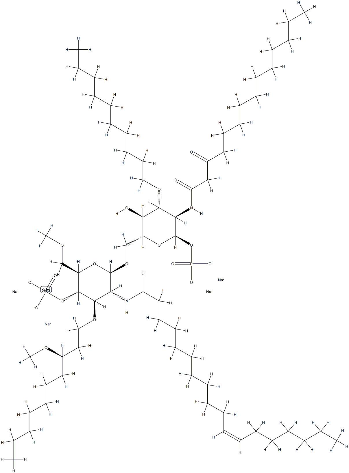 E5564